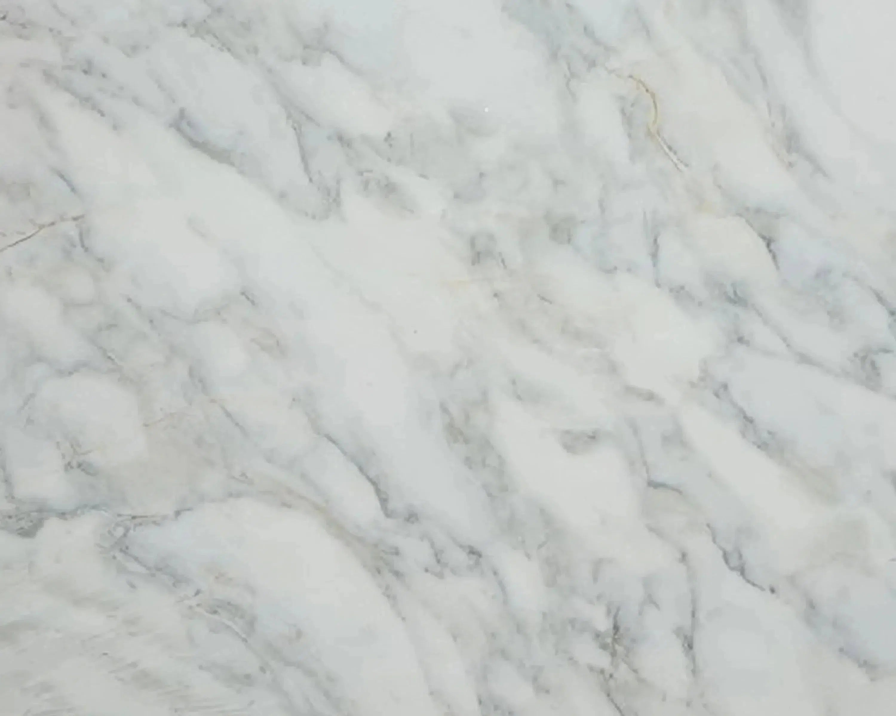 White and gray Calacatta Oliva Marble with elegant natural patterns.