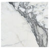 Arabescato18X18 Marble Tile Polished-Honed