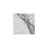 Arabescato18X18 Marble Tile Polished-Honed