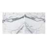 Arabescato (Italian) 12X12 Marble Tile Polished - Honed - SurfacesGalorePolished