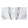 Arabescato (Italian) 18X18 Marble Tile Polished - Honed - SurfacesGalorePolished