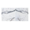 Arabescato24X24 Marble Tile Polished-Honed