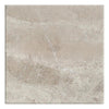 Atlantic Gray Marble 24X24 Polished-Honed