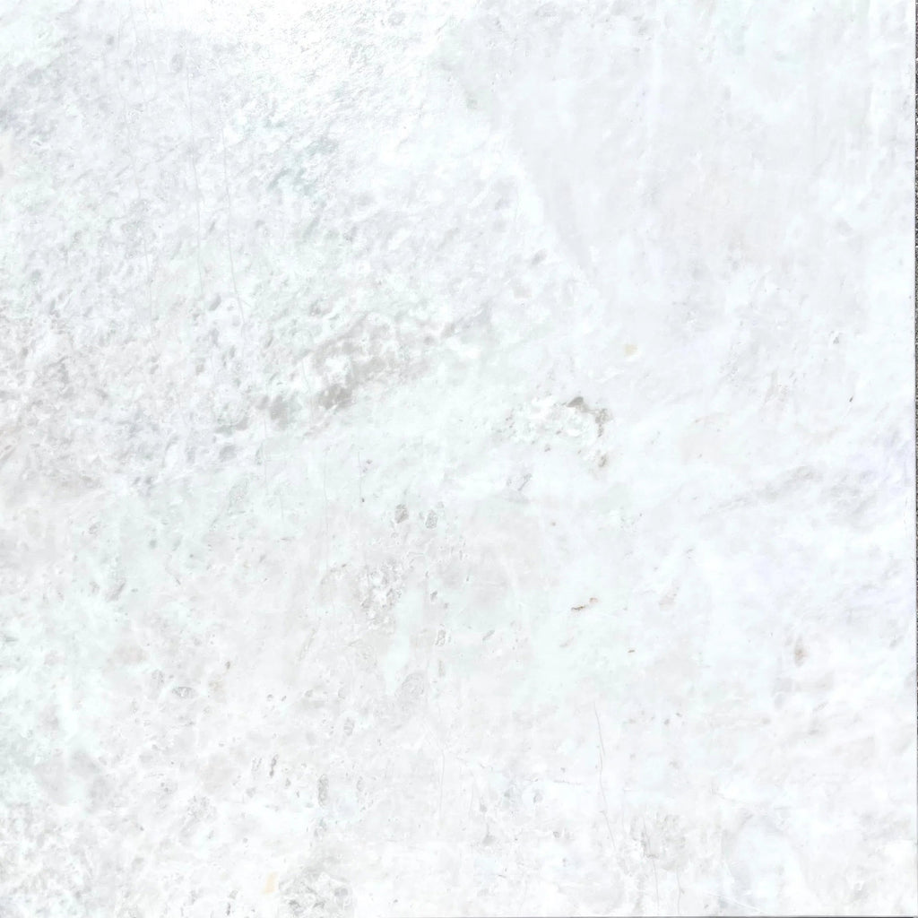 Bianco Congelato 12X12 Dolomite Leathered