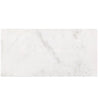 Bianco Congelato 12X24 Dolomite Leathered