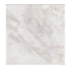 Bianco Congelato 18X18 Dolomite Leathered