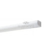 Bianco Dolomite (White Dolomite) 1/2X12 Pencil Liner Marble Polished-Honed