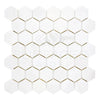 Bianco Dolomite (White Dolomite) 2" Hexagon Mosaic Marble Polished-Honed