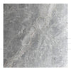 Blue Jade / Blue White Marble 24X24 Polished Tile 160 Sq.Ft. $14.00/Sq.Ft.