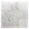 Calacatta Carrara 12X12 Polished Marble Tile 300 Sq.Ft. $6.96/Sq.Ft.