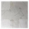 Calacatta Carrara 12X12 Polished Marble Tile 300 Sq.Ft. $6.96/Sq.Ft.