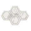 Calacatta Gold 5" Hexagon Combination (w/Calacatta Gold) Mosaic Marble Tile Polished-Honed