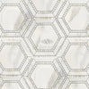 Calacatta Gold 5" Hexagon Combination (w/Calacatta Gold) Mosaic Marble Tile Polished-Honed