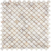 Calacatta Gold Italian Premium Fan (Raindrop) Mosaic Marble Tile Polished - Honed - SurfacesGalorePolished