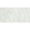 Calacatta Gold Italian Premium Marble 12X24 Polished - Honed - SurfacesGalorePolished