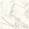 Calacatta Gold Marble 12X12 Polished-Honed