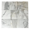 Calacatta Medley 12X12 Polished Marble Tile 300 Sq.Ft. $6.96/Sq.Ft.