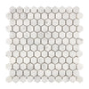 Carrara White Italian Premium Hexagon 1X1 Mosaic Marble Tile Polished - Honed - SurfacesGalorePolished