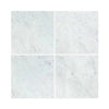 Carrara White Italian Premium Marble 18X18 Polished-Honed