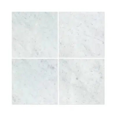 Carrara White Italian Premium Marble 18X18 Polished - Honed - SurfacesGalorePolished