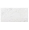 Carrara White Italian Premium Marble 18X36 Polished-Honed