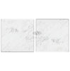 Carrara White Italian Premium Marble 6X6 Tumbled