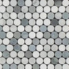 Carrara White Italian Premium Penny-Round (Carrara+Thassos+Blue) Mosaic Marble Tile Polished-Honed