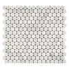 Carrara White Italian Premium Penny - Round Mosaic Marble Tile Polished - Honed - SurfacesGalorePolished