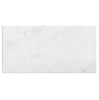 Carrara White Marble 18X36 Polished-Honed