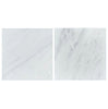 Checkerboard Bardiglio Marble and Oriental White Marble 12X12 Tumbled Set