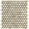 Crema Marfil Marble Penny - Round Mosaic Polished - Honed - SurfacesGalorePolished