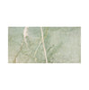 Ming Green 12X24 Marble Polished - SurfacesGalore