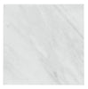 Oriental White / Asian Statuary 1X1 Marble Mosaic Polished-Honed