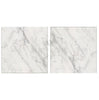 Oriental White / Asian Statuary Marble 12X12 Polished - Honed - SurfacesGalorePolished