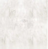 Oriental White / Asian Statuary Marble 12X12 Polished - Honed - SurfacesGalorePolished