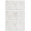 Oriental White / Asian Statuary Marble 12X24 Polished - Honed - SurfacesGalorePolished