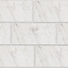 Oriental White / Asian Statuary Marble 12X24 Polished - Honed - SurfacesGalorePolished