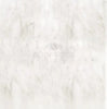 Oriental White / Asian Statuary Marble 18X18 Polished-Honed