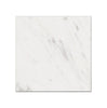 Oriental White / Asian Statuary Marble 18X18 Polished-Honed