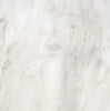 Oriental White / Asian Statuary Marble 4X4 Polished - Honed - SurfacesGalorePolished