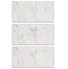 Oriental White / Asian Statuary Marble 6X12 Polished-Honed