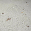 Riviera Quartz (Engineered Stone) 24X24 Polished Tile 120 Sq.Ft. $6.08/Sq.Ft.