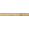 Scabos Travertine 1X12 Dome (Cane) Liner Honed - SurfacesGalore