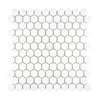 Thassos White 1" Hexagon Mosaic Marble Polished-Honed