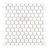 Thassos White 1" Hexagon Mosaic Marble Polished-Honed