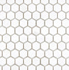 Thassos White 1" Hexagon Mosaic Marble Polished-Honed