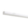 Thassos White 1/2X12 Pencil Liner Marble Polished-Honed