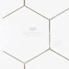 Thassos White 5" Hexagon Mosaic Marble Polished-Honed