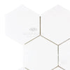 Thassos White 5" Hexagon Mosaic Marble Polished-Honed