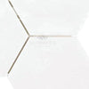 Thassos White 6" Hexagon Mosaic Marble Polished-Honed